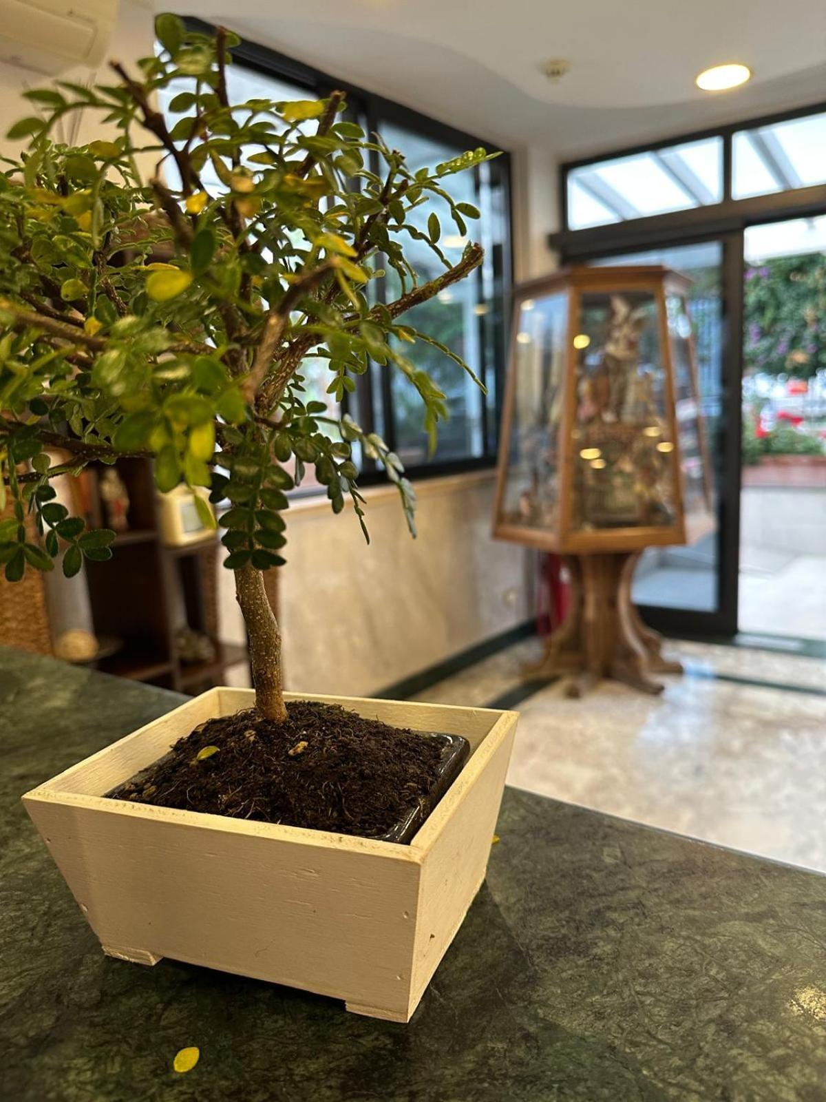 Hotel Clinton كازوريا المظهر الخارجي الصورة